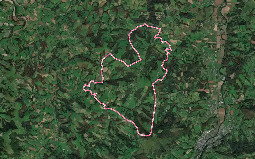 Vue satellite de Ainharp avec ses contours administratifs