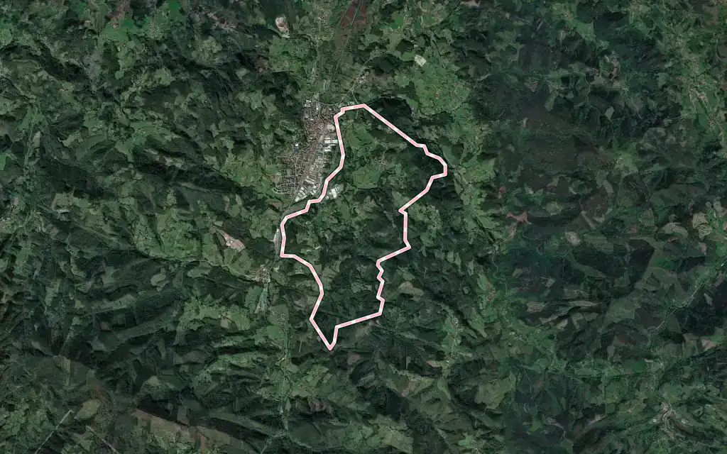 Vista satélite de Ajangiz con su contorno administrativo