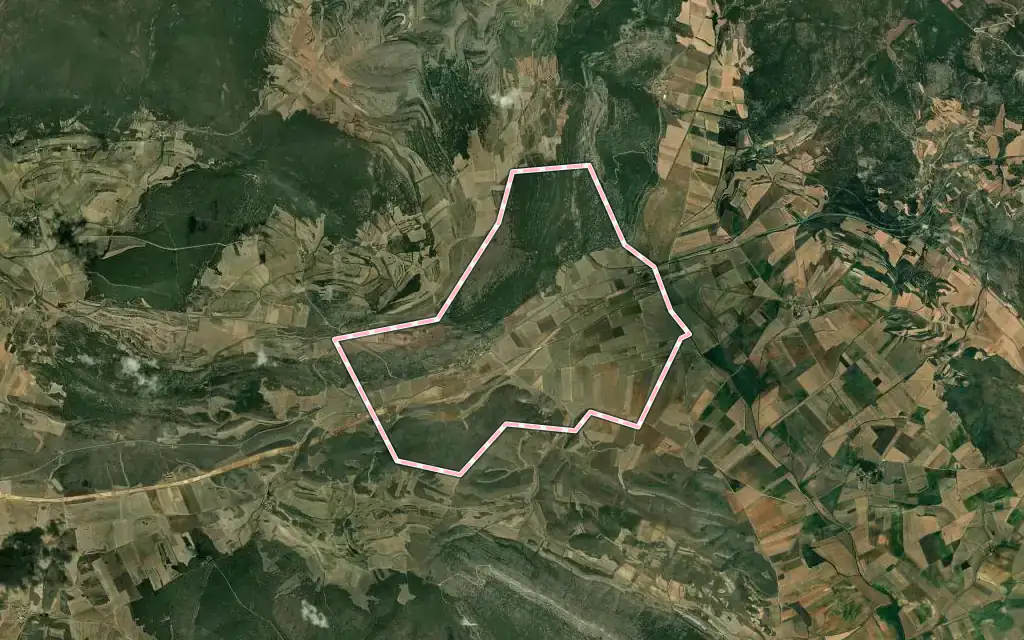 Vista satélite de Aldealpozo con su contorno administrativo