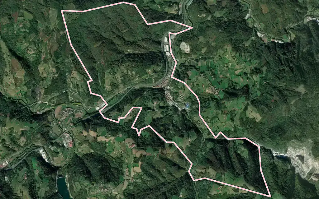 Vista satélite de Alegia con su contorno administrativo