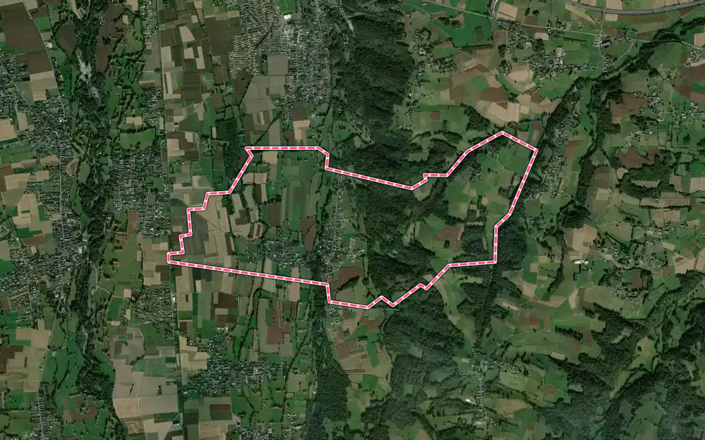 Vue satellite de Allier avec ses contours administratifs