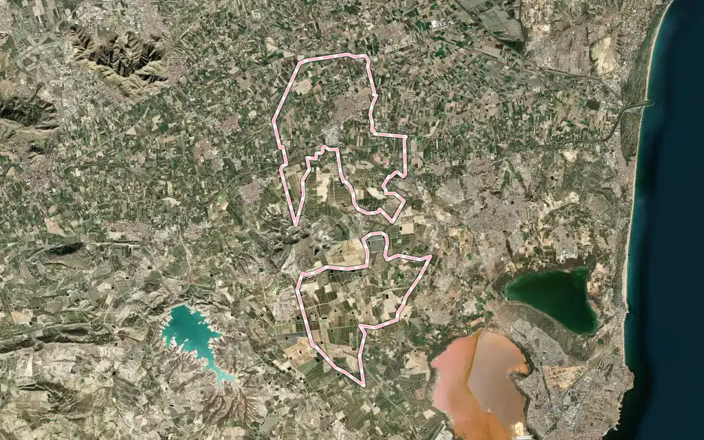 Vista satélite de Almoradí con su contorno administrativo