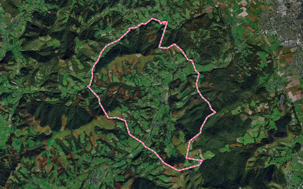 Vue satellite de Ance Féas avec ses contours administratifs
