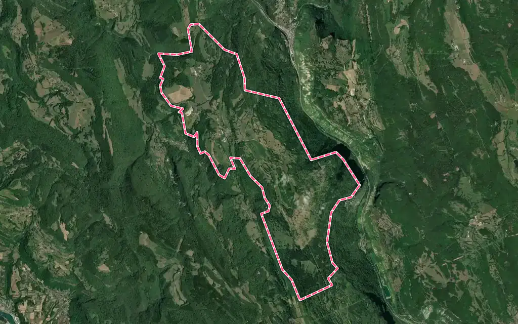 Vue satellite de Arandas avec ses contours administratifs