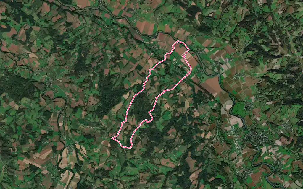 Vue satellite de Araux avec ses contours administratifs