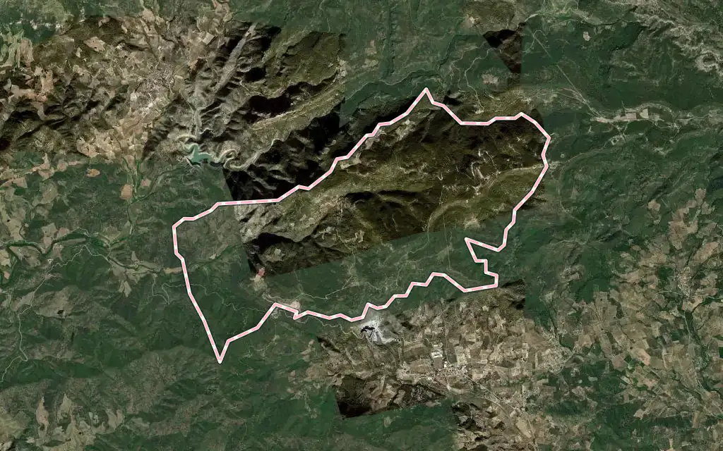 Vista satélite de Arbolí con su contorno administrativo