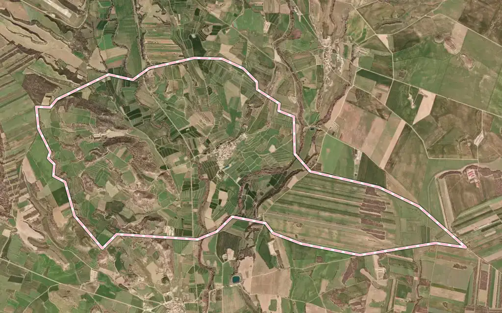 Vista satélite de Argavieso con su contorno administrativo