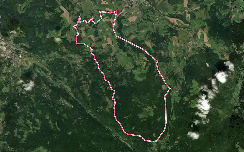 Vue satellite de Arrentès-de-Corcieux avec ses contours administratifs
