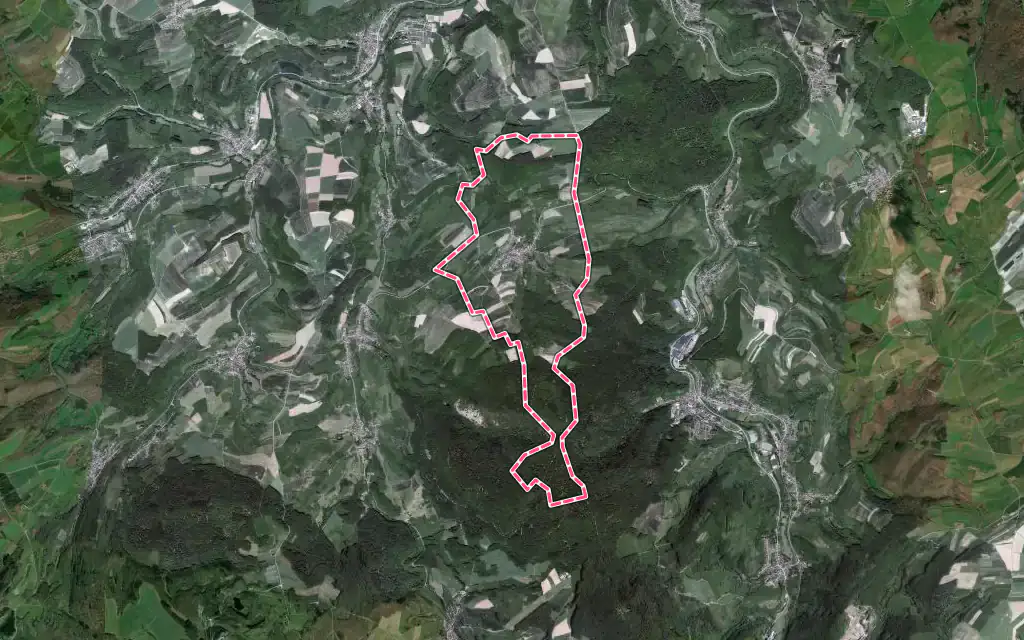 Vue satellite de Aschbach avec ses contours administratifs