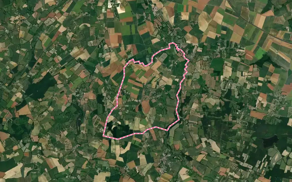 Vue satellite de Avoine avec ses contours administratifs