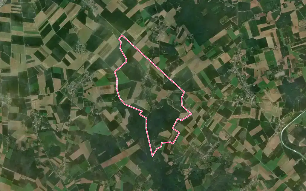Vue satellite de Avricourt avec ses contours administratifs