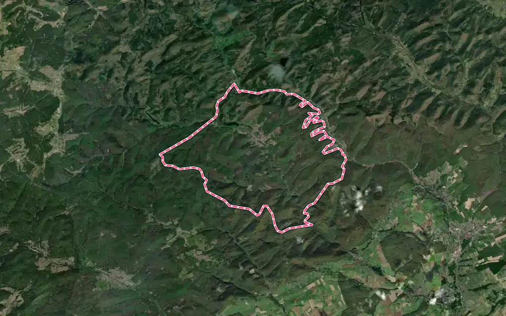 Vue satellite de Baerenthal avec ses contours administratifs