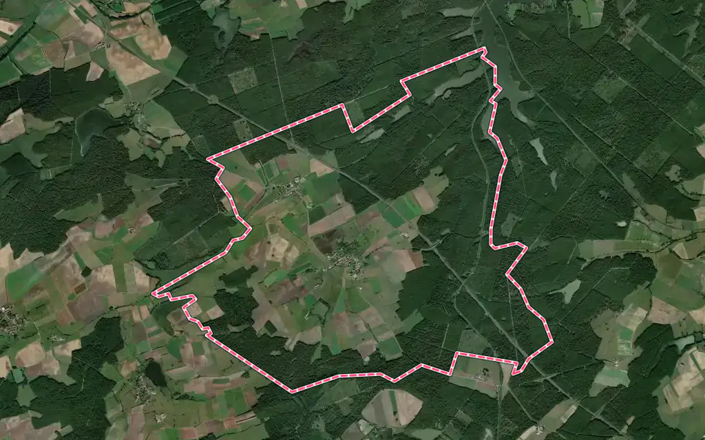 Vue satellite de Belles-Forêts avec ses contours administratifs