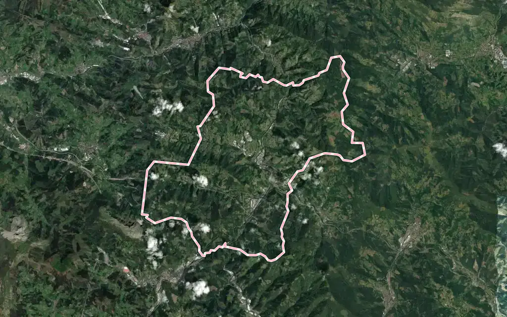 Vista satélite de Bergara con su contorno administrativo