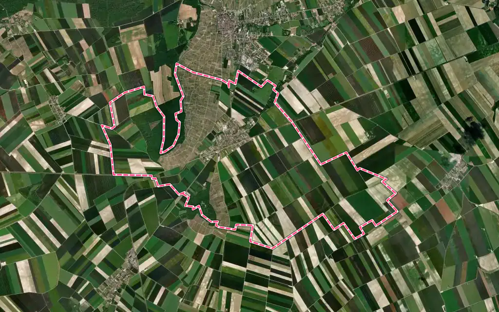 Vue satellite de Bergères-lès-Vertus avec ses contours administratifs