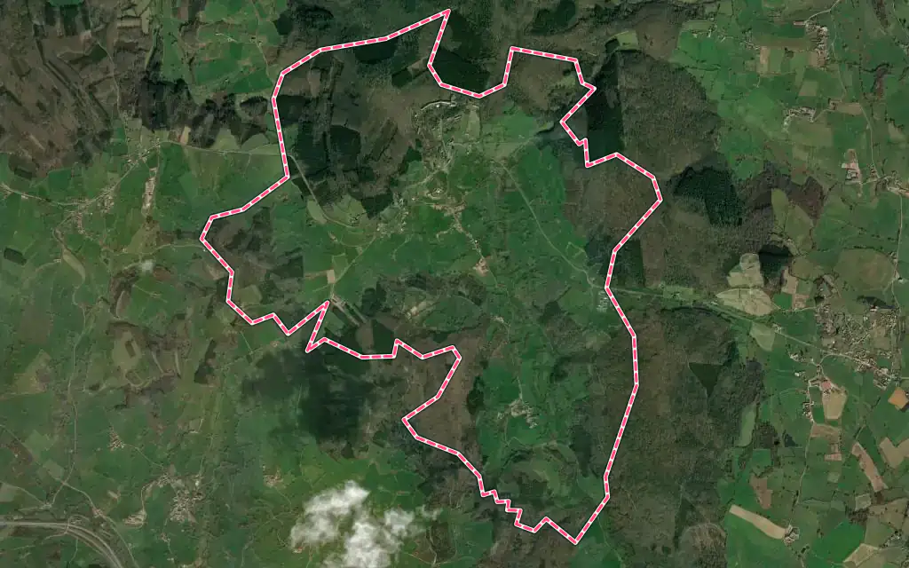 Vue satellite de Bergesserin avec ses contours administratifs