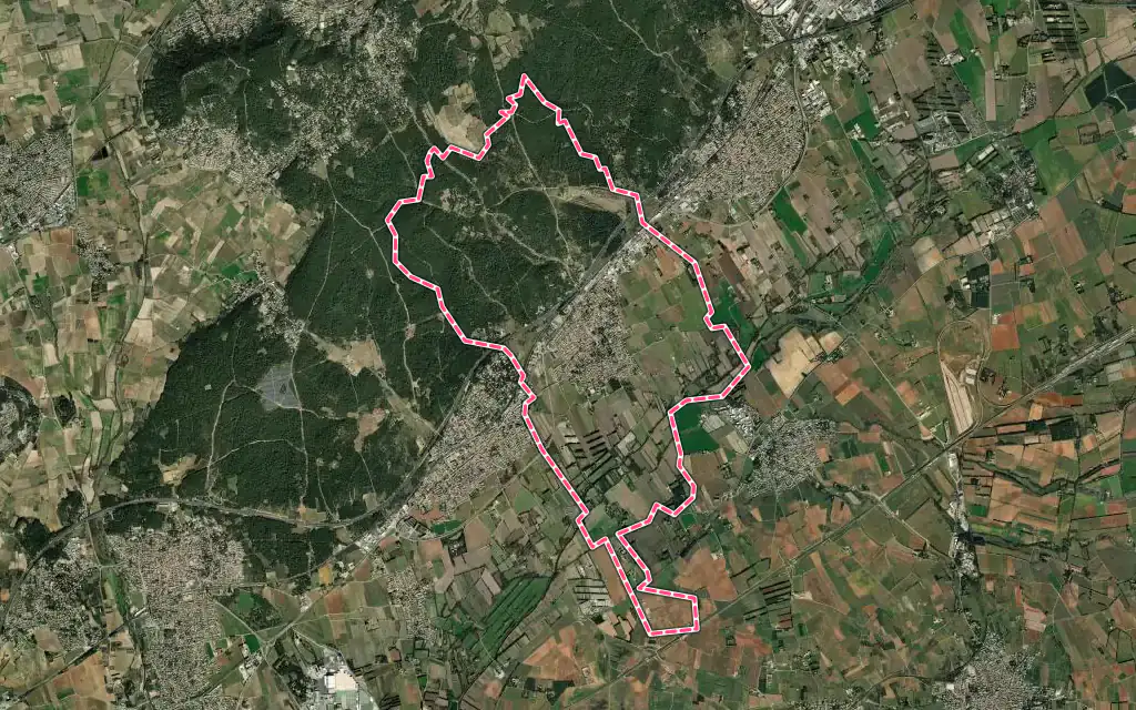 Vue satellite de Bernis avec ses contours administratifs