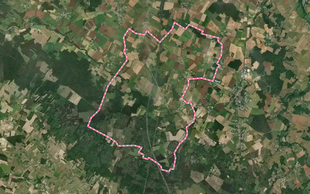 Vue satellite de Bois avec ses contours administratifs