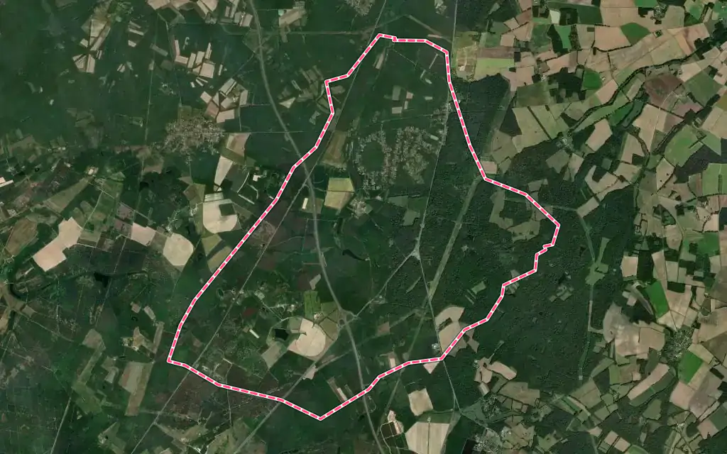 Vue satellite de Boismorand avec ses contours administratifs