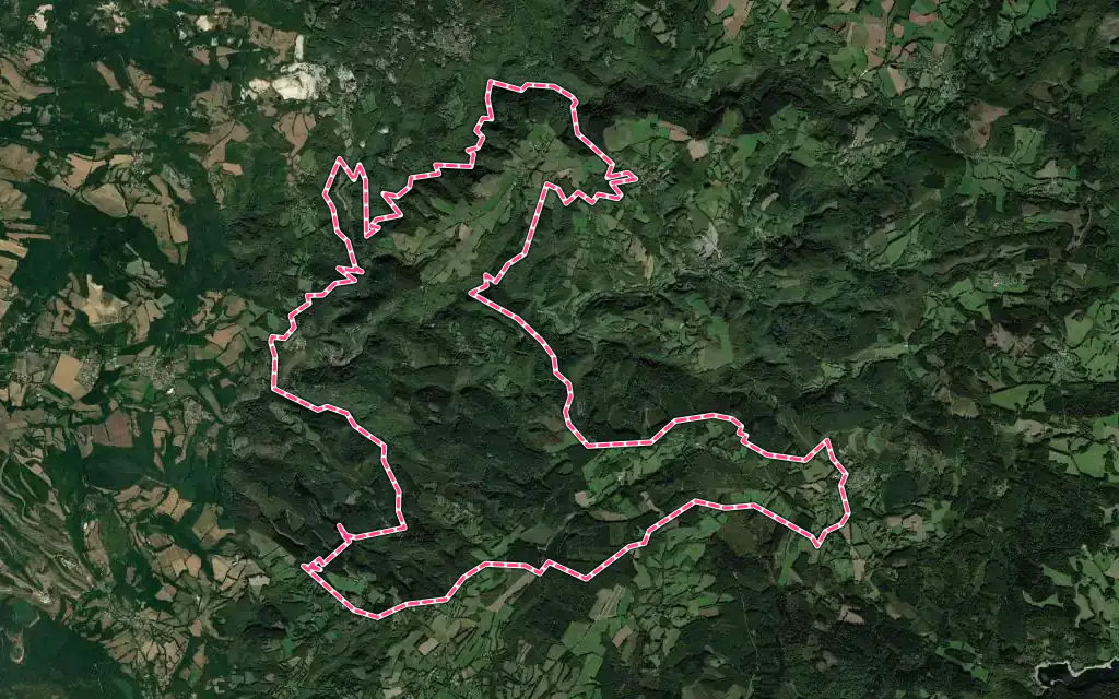 Vue satellite de Boissezon avec ses contours administratifs
