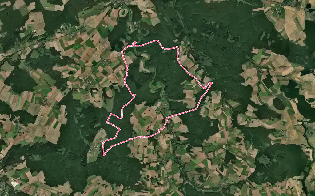 Vue satellite de Bourdons-sur-Rognon avec ses contours administratifs