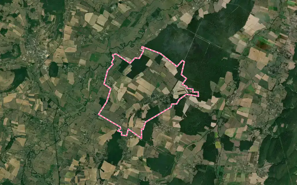 Vue satellite de Bresse-sur-Grosne avec ses contours administratifs