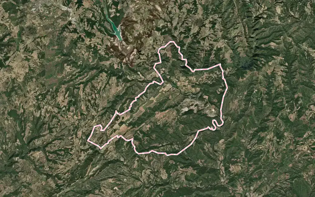 Vista satélite de Cardona con su contorno administrativo
