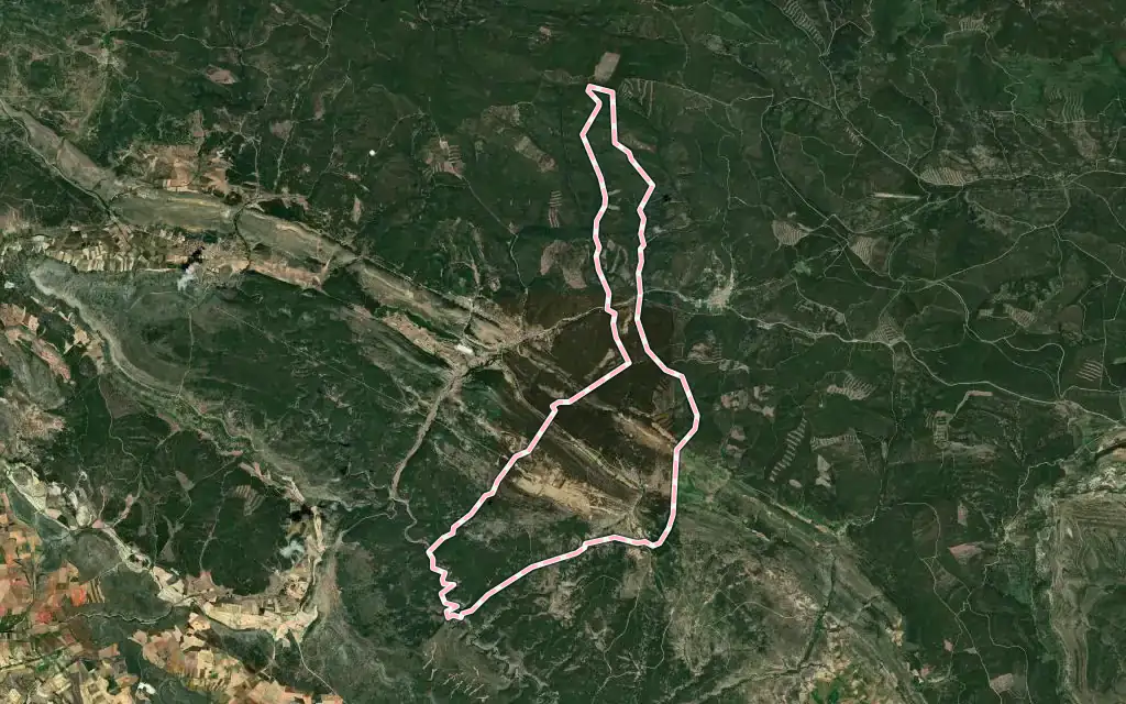 Vista satélite de Casarejos con su contorno administrativo