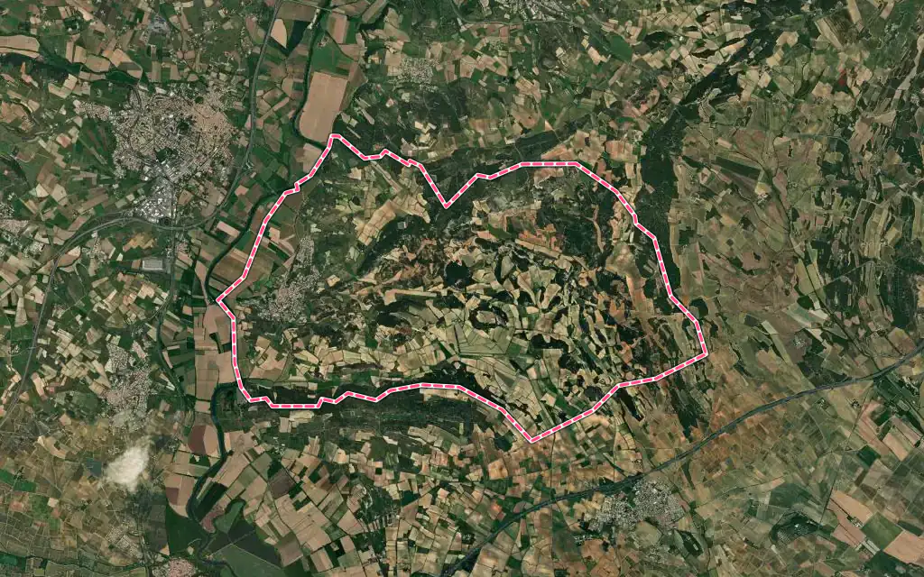 Vue satellite de Castelnau-de-Guers avec ses contours administratifs