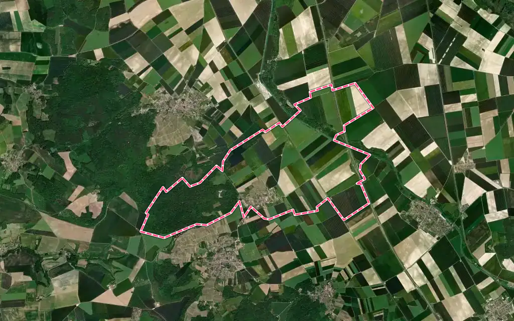 Vue satellite de Cauroy-lès-Hermonville avec ses contours administratifs