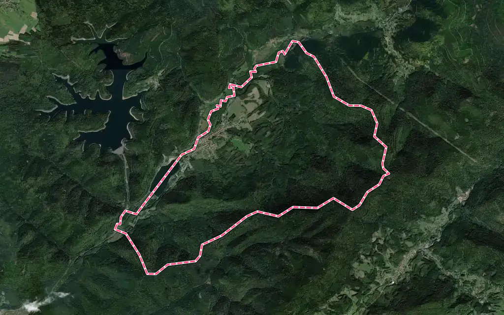 Vue satellite de Celles-sur-Plaine avec ses contours administratifs