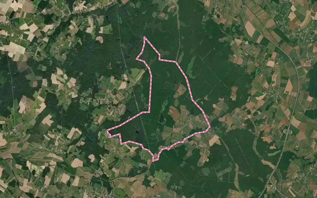 Vue satellite de Champrougier avec ses contours administratifs