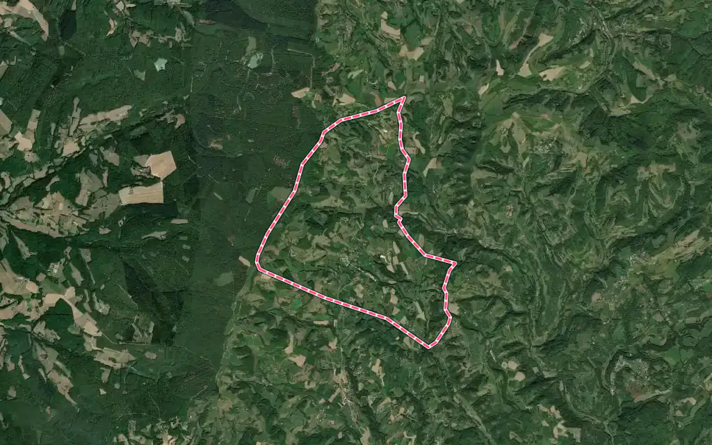 Vue satellite de Chasselay avec ses contours administratifs