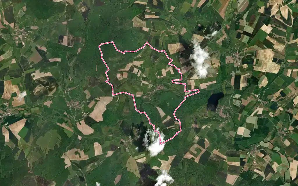 Vue satellite de Châtillon-sur-Saône avec ses contours administratifs