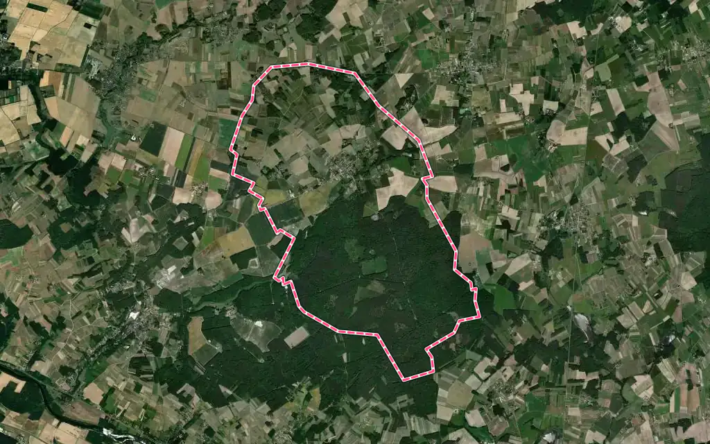 Vue satellite de Choussy avec ses contours administratifs