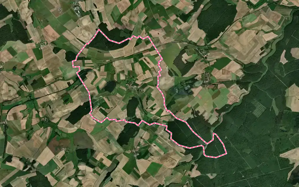 Vue satellite de Cirfontaines-en-Ornois avec ses contours administratifs