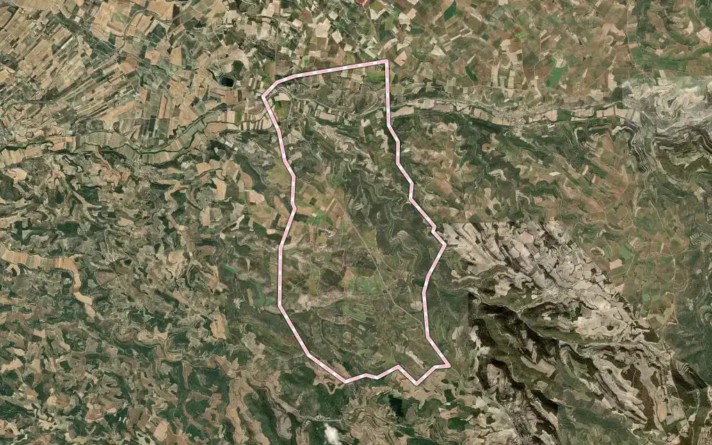 Vista satélite de Ciutadilla con su contorno administrativo