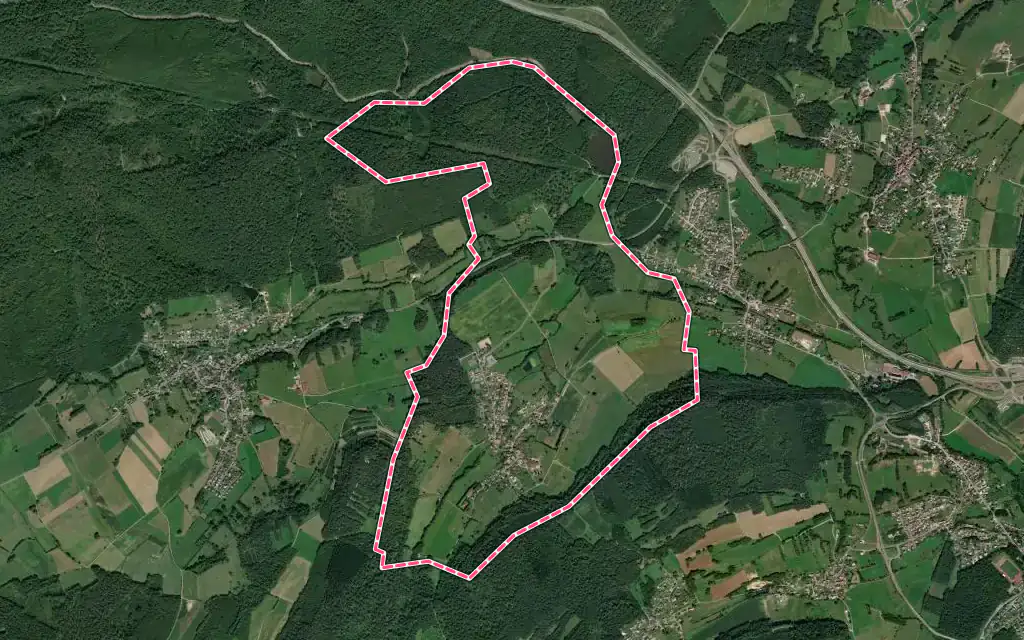 Vue satellite de Coisevaux avec ses contours administratifs