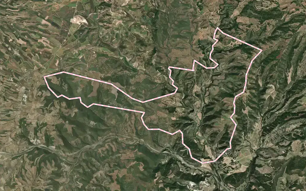 Vista satélite de Copons con su contorno administrativo