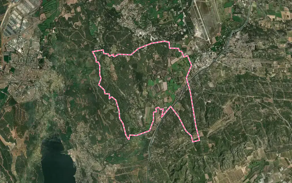 Vue satellite de Cornillon-Confoux avec ses contours administratifs