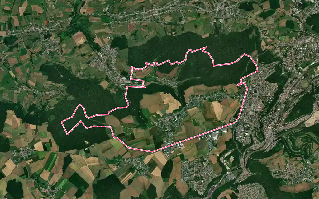 Vue satellite de Cosnes-et-Romain avec ses contours administratifs