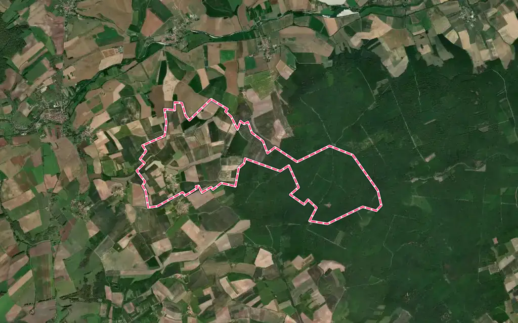 Vue satellite de Crion avec ses contours administratifs