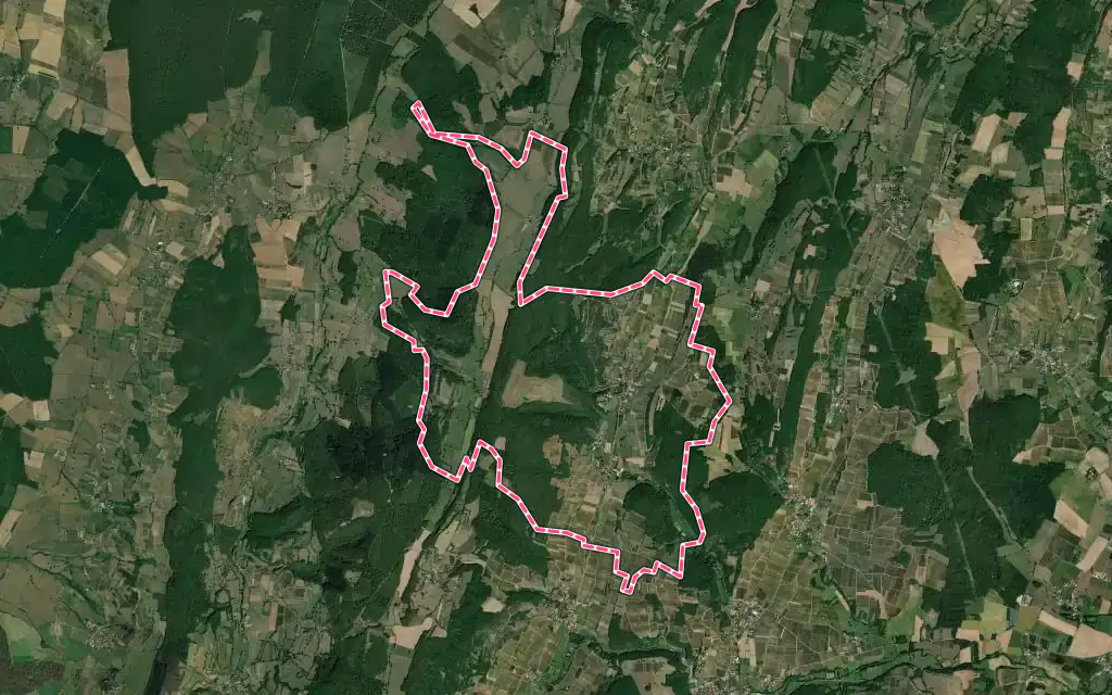 Vue satellite de Cruzille avec ses contours administratifs