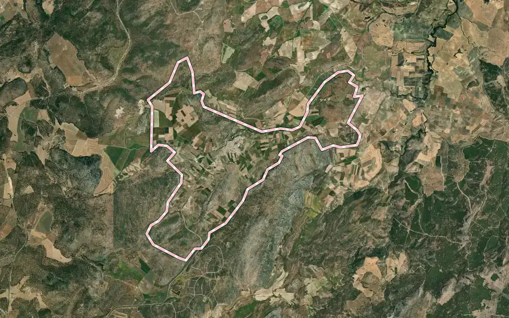 Vista satélite de Cuevas del Becerro con su contorno administrativo