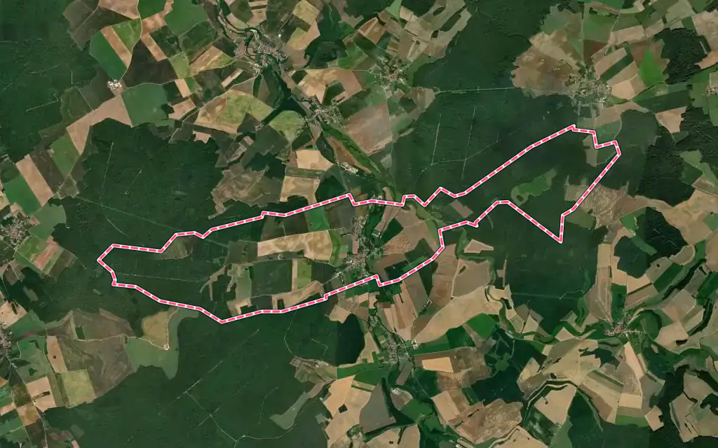 Vue satellite de Dammarie-sur-Saulx avec ses contours administratifs