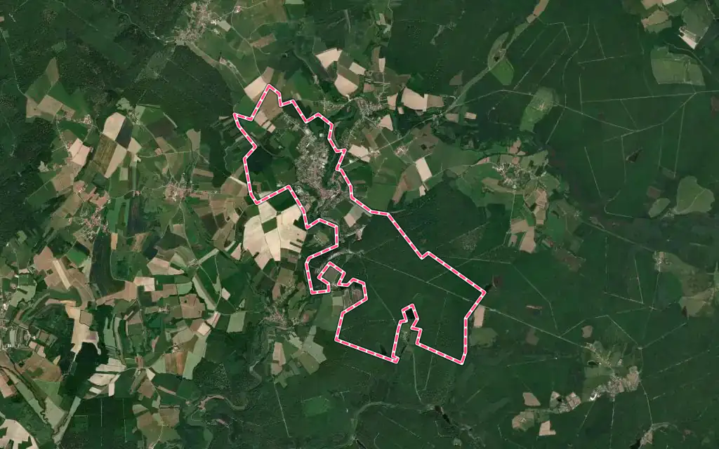 Vue satellite de Darney avec ses contours administratifs