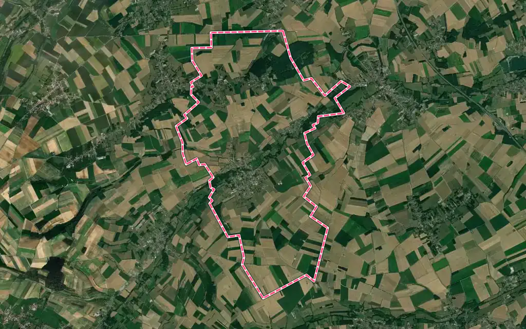 Vue satellite de Delettes avec ses contours administratifs