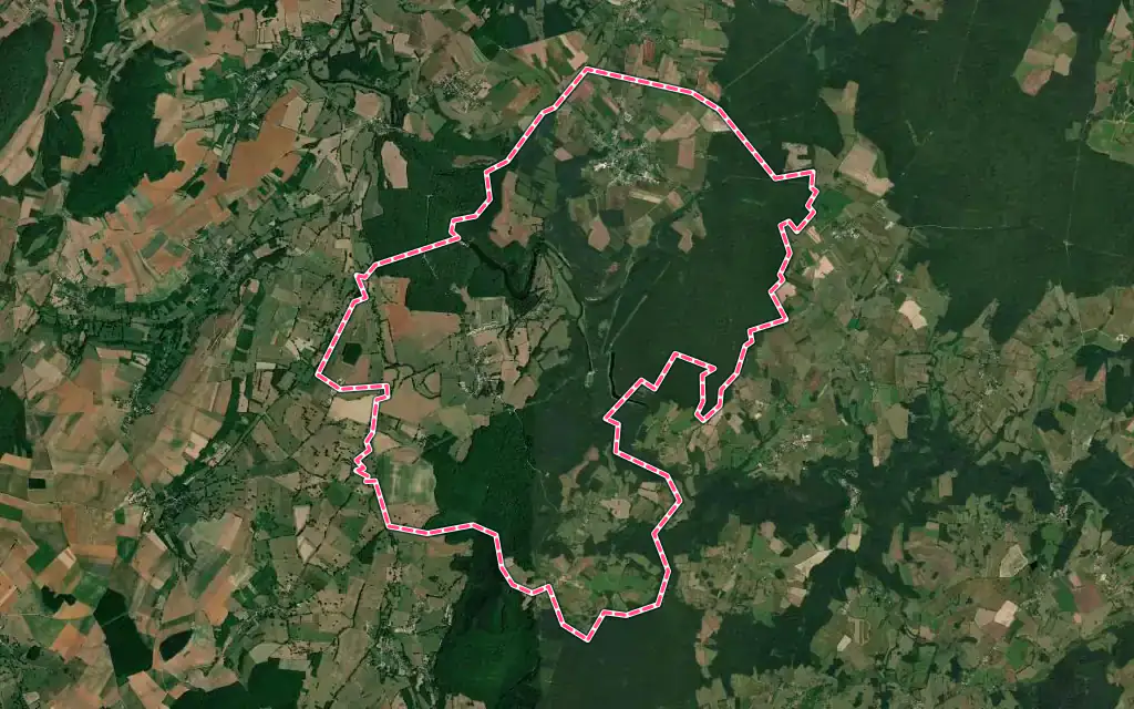 Vue satellite de Domecy-sur-Cure avec ses contours administratifs