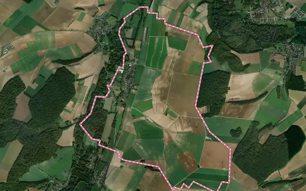 Vue satellite de Dommartin avec ses contours administratifs