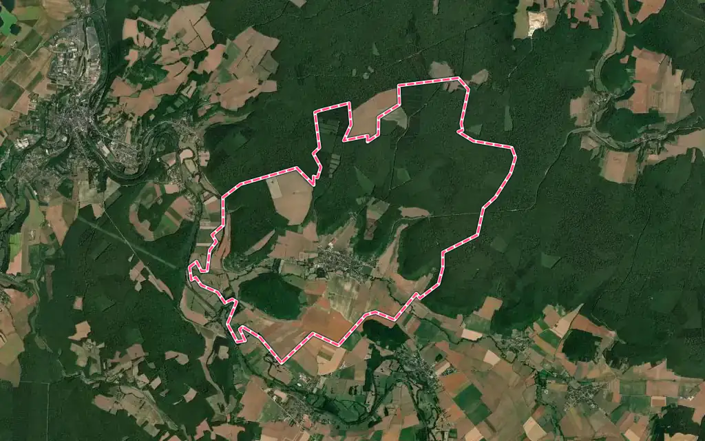 Vue satellite de Dornecy avec ses contours administratifs